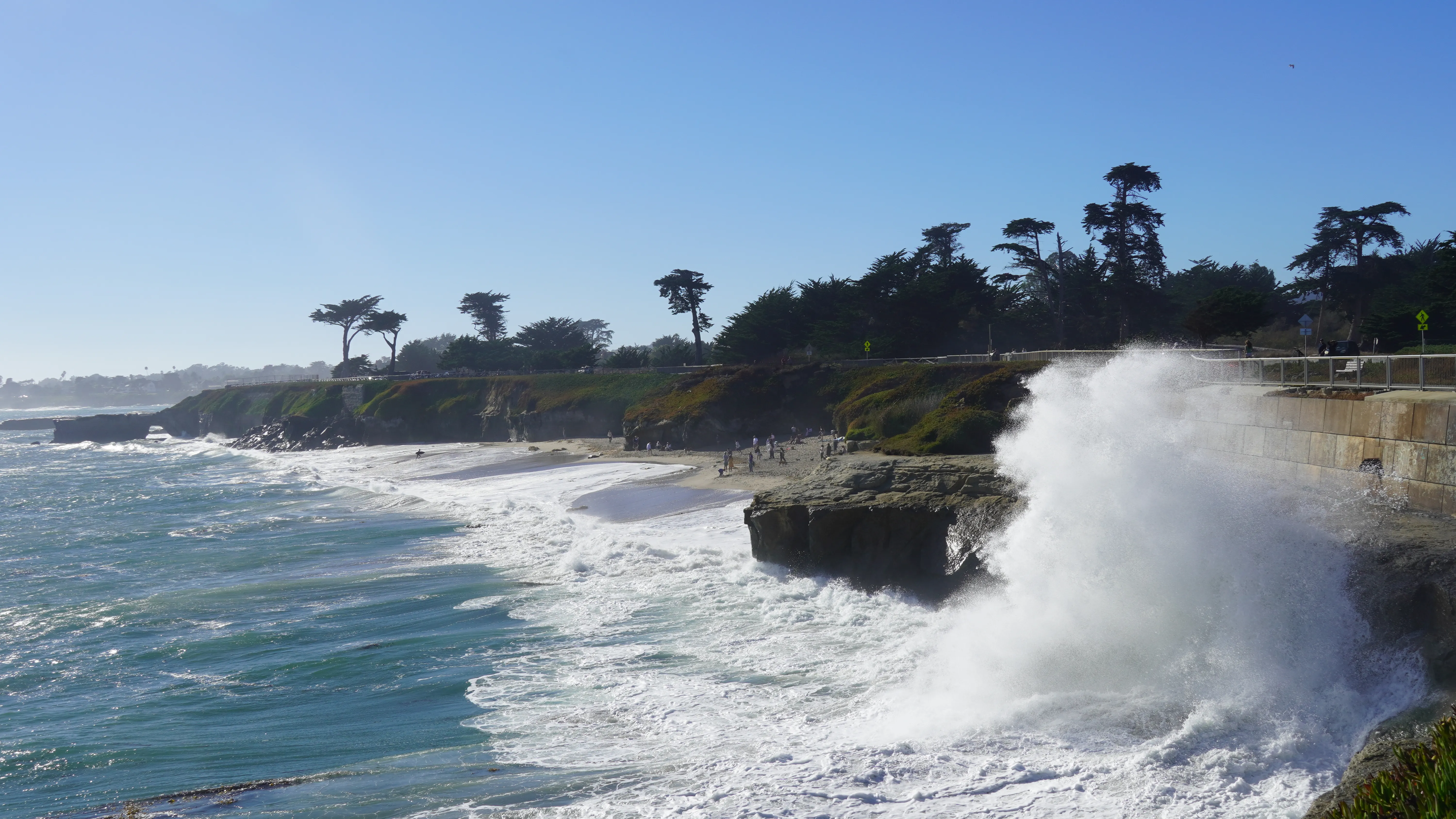 santacruzspray